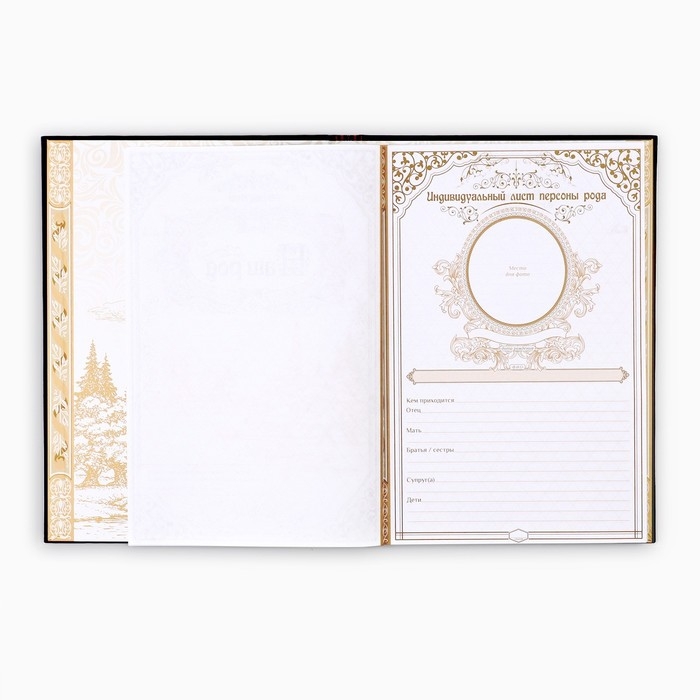 Родословная книга &laquo;Наша Семья&raquo;, 50 листов, 22 х 31 см.