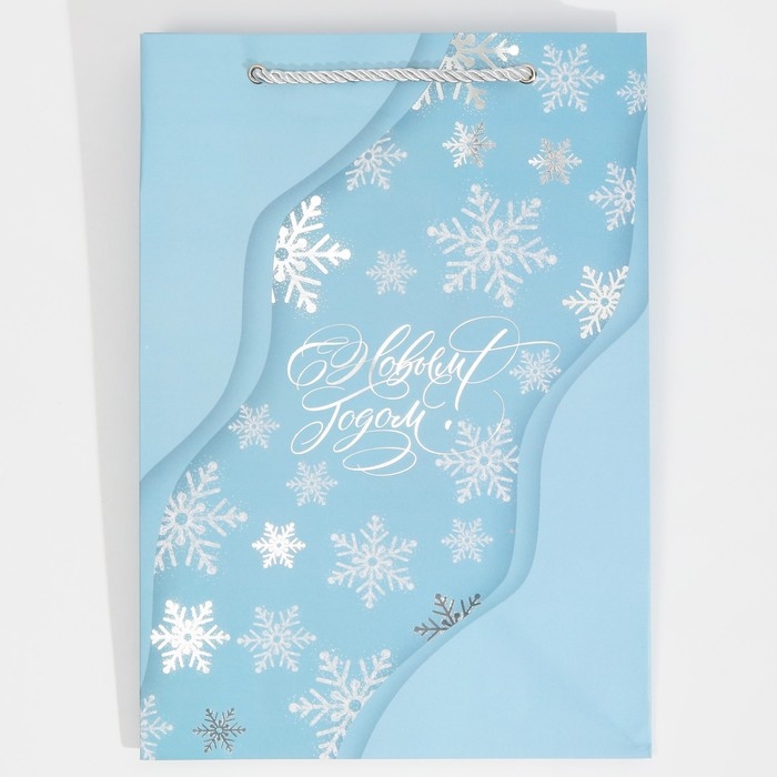 Пакет подарочный новогодний ламинированный &laquo;Лёд&raquo;, 21 х 30 х 15 см, Новый год