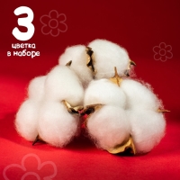Сухие цветы хлопка, набор 3 шт., размер 1 шт. 6 &times; 6 см, цвет белый