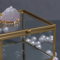 Органайзер для хранения &laquo;MOUNTAINS&raquo;, с крышкой, стеклянный, с зеркальным дном, 1 секция, 10 &times; 10 &times; 6 см, цвет прозрачный/медный