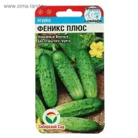 Семена Огурец "Феникс плюс" 7шт