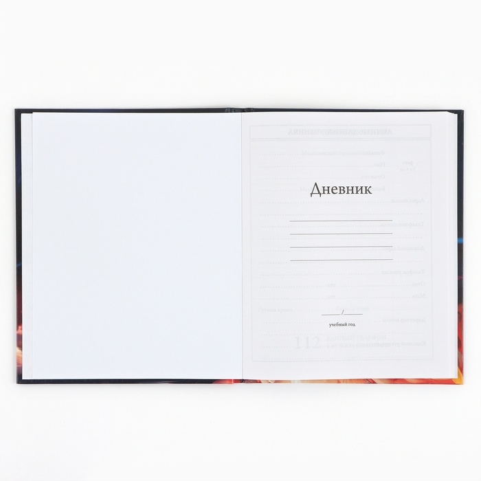 Дневник школьный 1-4 класса, в твердой обложке, 48 л &laquo;Рыжий котенок&raquo;