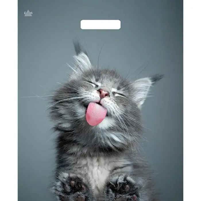 Пакет &laquo;Кот&raquo;, полиэтиленовый, с вырубной ручкой, 38&times;45 см, 60 мкм