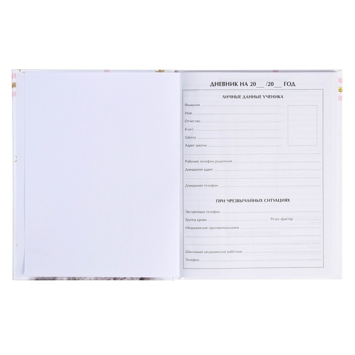 Дневник школьный для 1-11 классов, &laquo;Котенок с розами&raquo;, твёрдая обложка 7БЦ, глянцевая ламинация, 40 листов