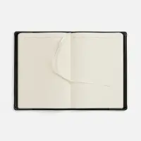 Ежедневник Apache, недатированный, черный