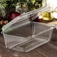 Контейнер одноразовый с неразъёмной крышкой ПР-К-29, пластик, 500 мл, 24.8&times;15.2&times;9.2 см, прозрачный