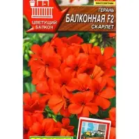 Семена цветов Герань Балконная скарлет F2 Мн Цветущий балкон, Ц/П,5 шт.