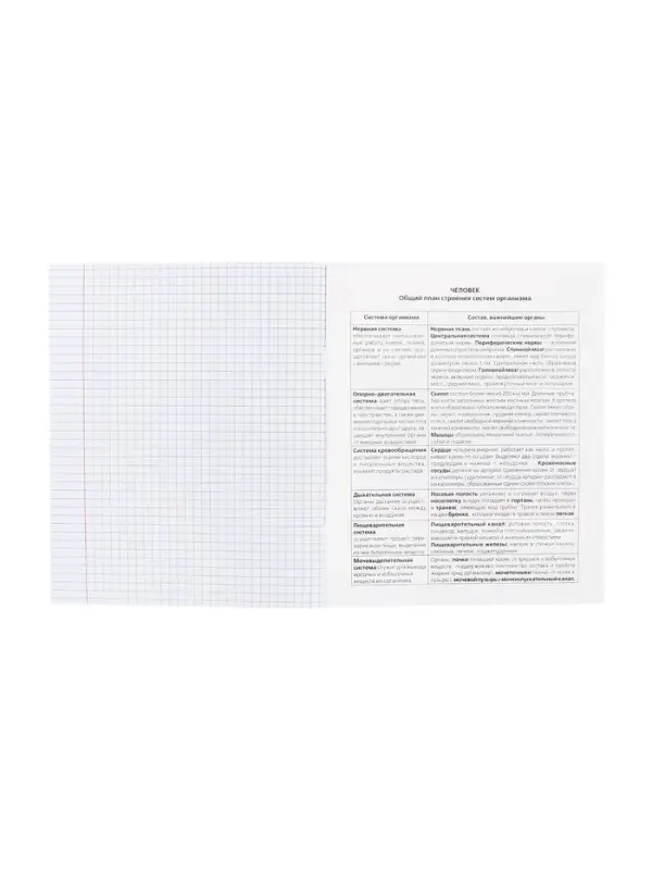 Тетрадь 48 листов в клетку &laquo;Приключения кота Пирожка&raquo; БИОЛОГИЯ, обложка мелованная бумага, с интерактивным справочником, блок офсет