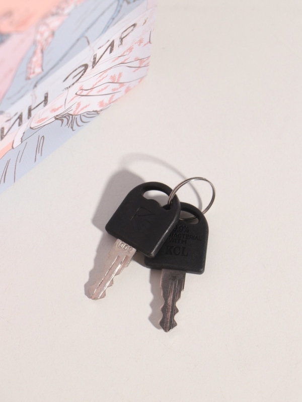 Сейф-книга дерево кожзам "Шарлотта Бронте. Джейн Эйр" тиснение 21х13х5 см