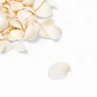 Набор ракушек декоративных 1,5-3 см, 100  г