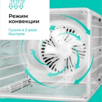 Сушилка для овощей и фруктов, дегидратор T-PFD42131