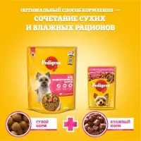 Влажный корм Pedigree для собак мелких пород , паштет говядина, пауч, 80 г