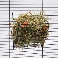 Сено луговое с фруктами &laquo;Пижон&raquo; для грызунов, 20 л, 500 г