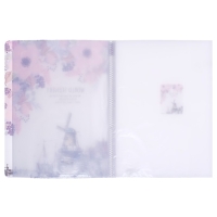 Папка А4, &laquo;Города&raquo; 30 прозрачных файлов, пластик, 400 мкм, МИКС