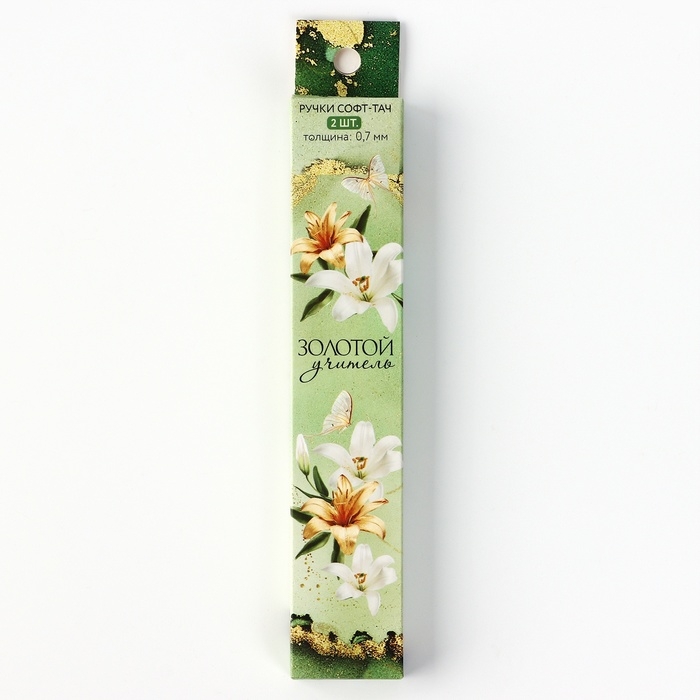 Ручка шариковая синяя паста, пластик софт-тач &laquo;Учителю: Учитель&raquo;, 2 шт, 0.7 мм