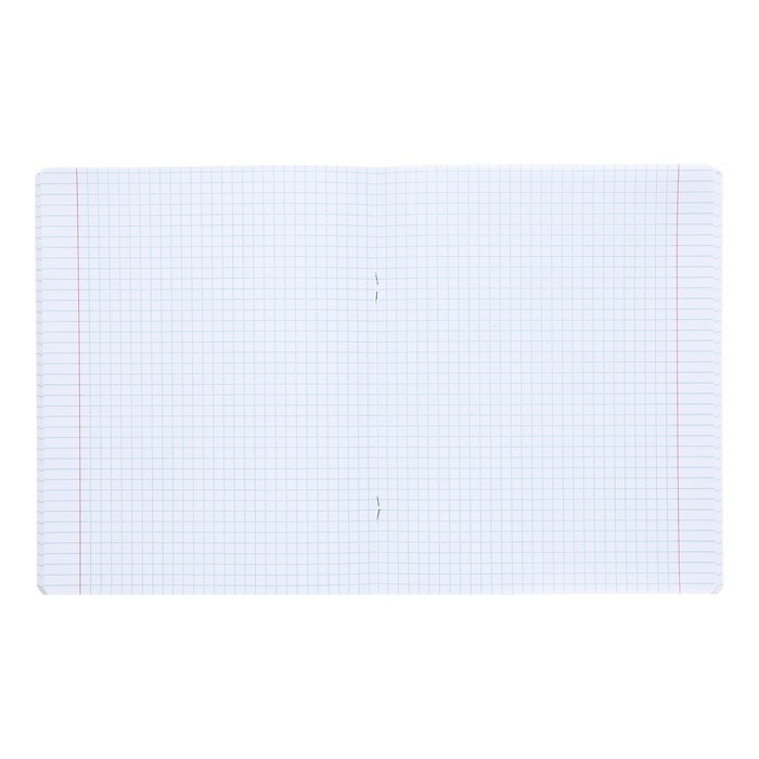 Тетрадь 48 листов в клетку "Реально крутой Капибара", обложка мелованный картон, блок 65 г/м2, 5В МИКС