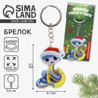 Брелок новогодний, для ключей &laquo;Волшебный брелок&raquo; 4.1 х 11,1 см