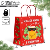 Пакет подарочный новогодний крафтовый &laquo;Что-то на богатом&raquo;, 22 х 22 х 11 см