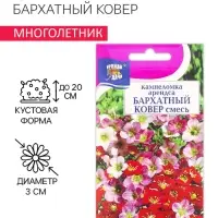 Семена цветов Камнеломка "Бархатный ковер", 0,01 г