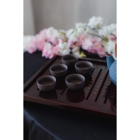 Пиала керамическая &laquo;Красная глина&raquo;, 40 мл, d=5,5 см