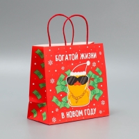 Пакет подарочный новогодний крафтовый &laquo;Что-то на богатом&raquo;, 22 х 22 х 11 см