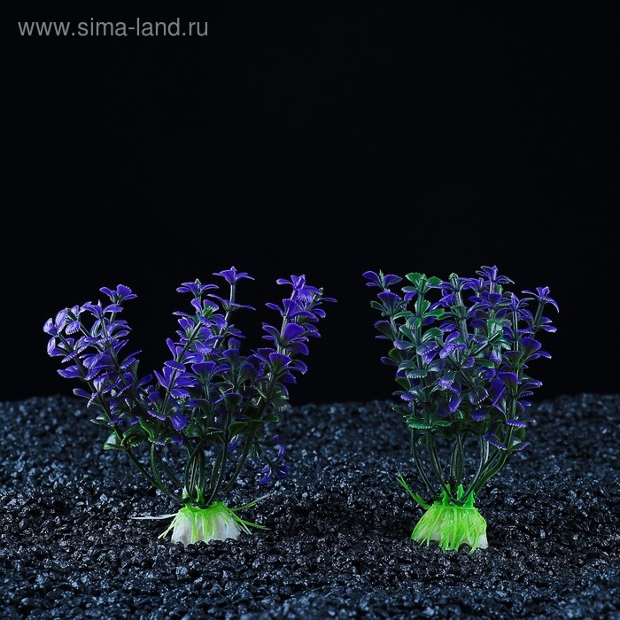 Набор растений искусственных для аквариума (2 шт), 10 см
