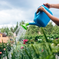 Лейка, 10 л, с рассеивателем, носик d = 25 мм, цвет МИКС