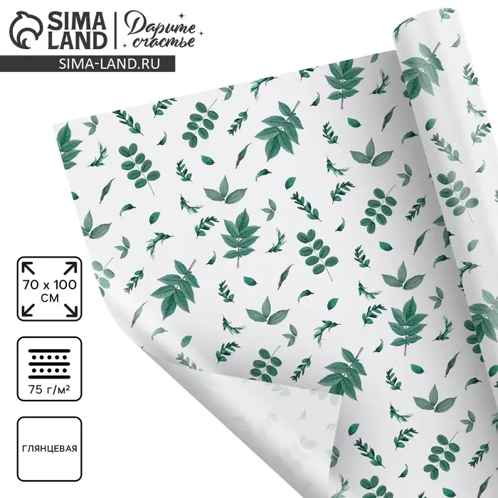 Бумага упаковочная глянцевая &laquo;Листочки&raquo;, 70 х 100 см