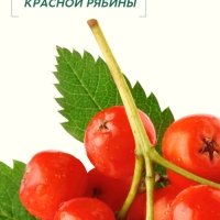 Пена для ванны, витаминный спа-уход, аромат рябины, 400 мл, Рябина