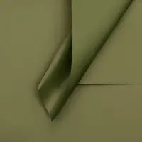 Пленка для цветов тонированная, матовая, оливковый, 57&times;57 см, 70 мкм МИКС