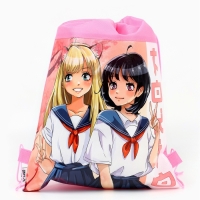 Мешок для обуви &laquo;Школьницы&raquo; полиэстер, размер 30 х 40 см