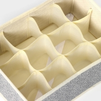 Органайзер для хранения белья Доляна &laquo;Европа&raquo;, 12 ячеек, 27&times;20&times;10 см, цвет бежевый