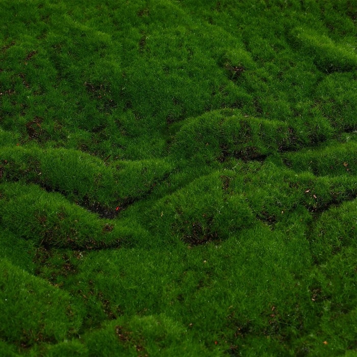 Мох искусственный, декоративный, полотно 1 &times; 1 м, рельефный, горный, зелёный, Greengo