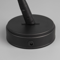 Светодиодный куст &laquo;Цветы&raquo; 45 см, 24 LED, постоянное свечение, батарейки ААх3 (не в комплекте), USB, свечение тёплое белое