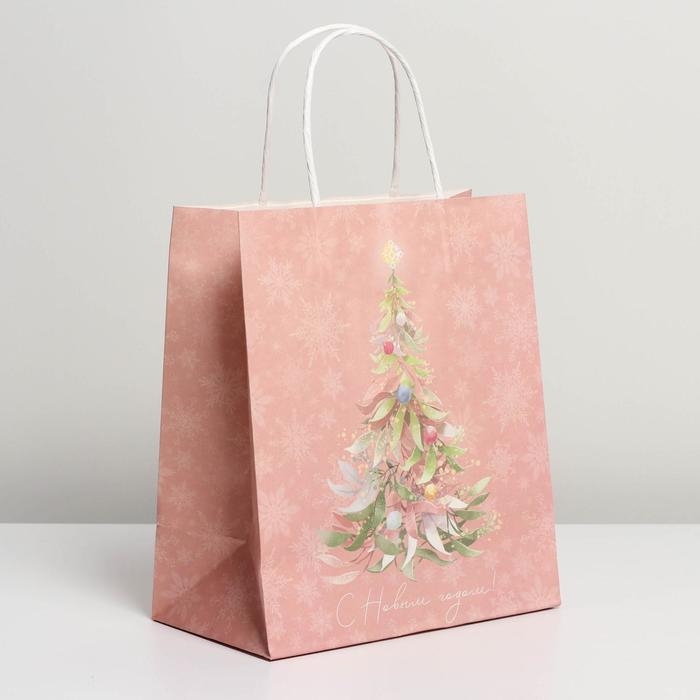 Пакет подарочный новогодний крафтовый &laquo;Новогодние сны&raquo;, 22 х 25 х 12 см, Новый год