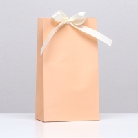 Пакет подарочный с лентой &laquo;Бежевый&raquo;, 13 х 23 х 7 см