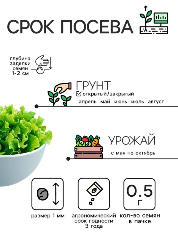 Семена Салат "Кучерявец Одесский", 0,5 г