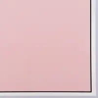 Пленка для цветов и флористики, матовая, пыльная роза, 57&times;57 м