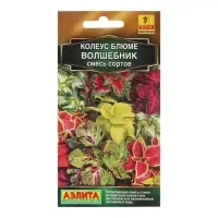 Семена Колеус "Волшебник", смесь сортов 5 шт