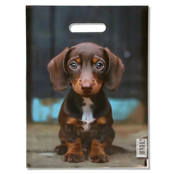 Пакет подарочный &laquo;Милая такса&raquo;, полиэтиленовый с вырубной ручкой, 30&times;40 см 50 мкм