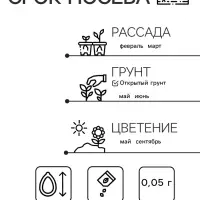 Семена цветов Петуния "Вишневая ночь", компактная, низкорослая, 0,05 г