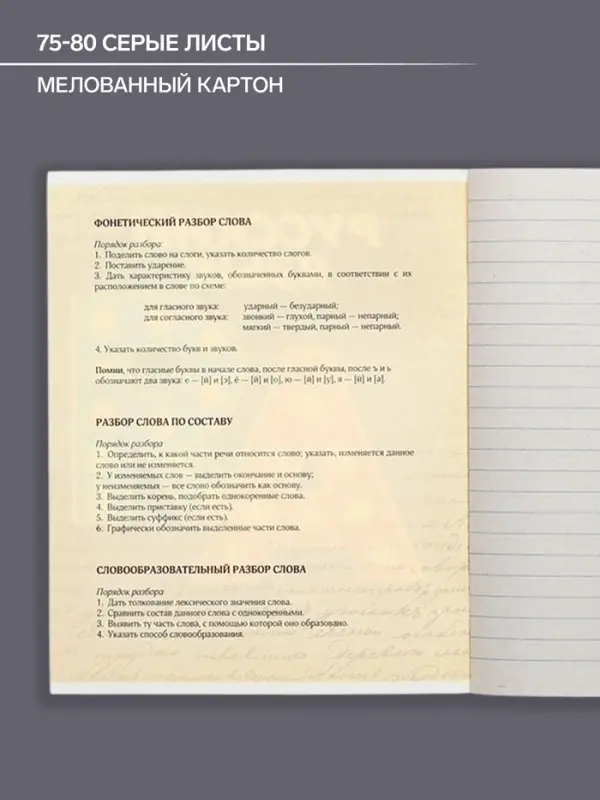 Тетрадь предметная 48 листов в линейку Calligrata &laquo;3D. Русский язык&raquo;, серые листы