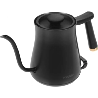 Чайник HYK-S5500 0.7л. 1000Вт черный (металл)