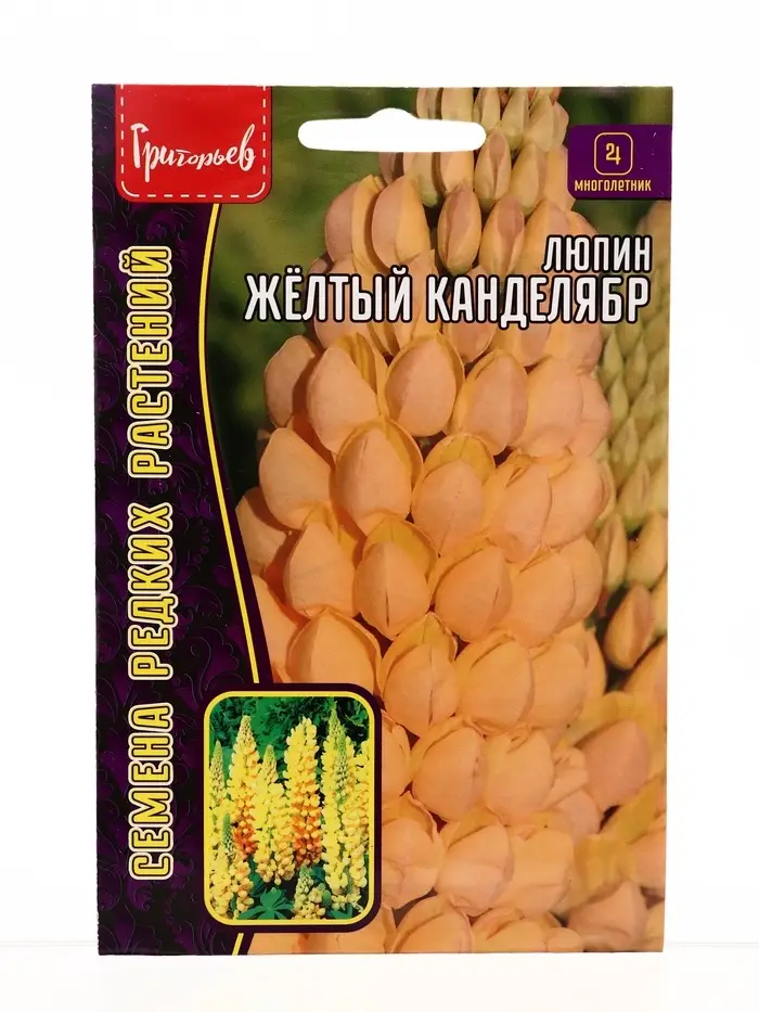 Семена цветов Люпин Жёлтый Канделябр многолетний  14 шт.  12.29 г.