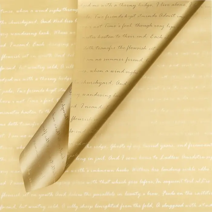 Плёнка двухсторонняя &laquo;Письмо&raquo;, бежевый, 58&times;58&plusmn;5% см