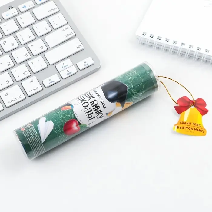 Ручка шариковая в тубусе, пластик, синяя паста, 1.0 мм &laquo;Выпускнику школы&raquo;