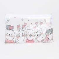 Косметичка-пенал на молнии, цвет прозрачный