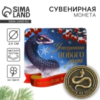 Монета новогодняя амулет &laquo;Новый год: Успешного года&raquo;, диам 2.5 см