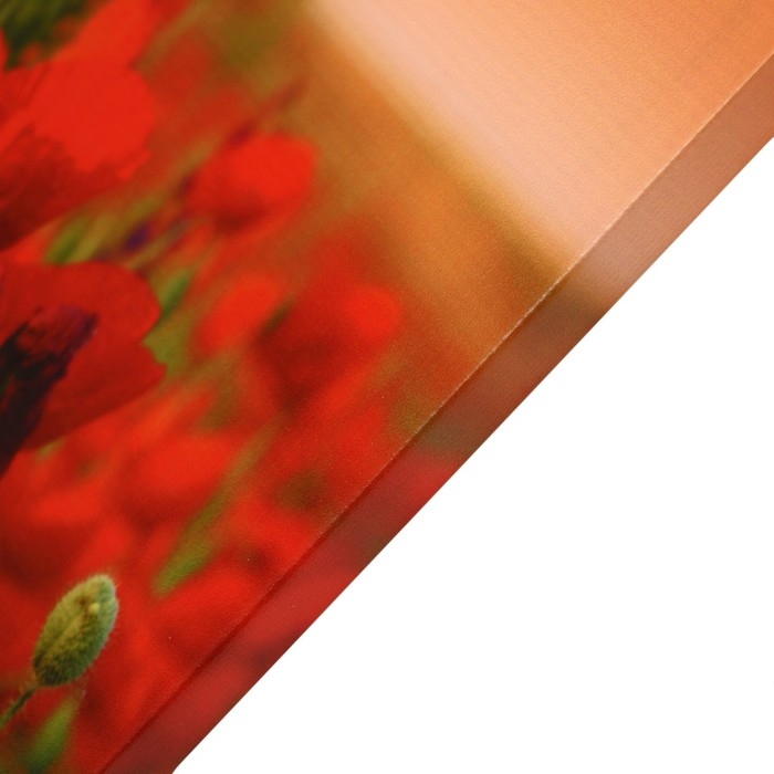 Картина "Маковое поле" 50*70 см