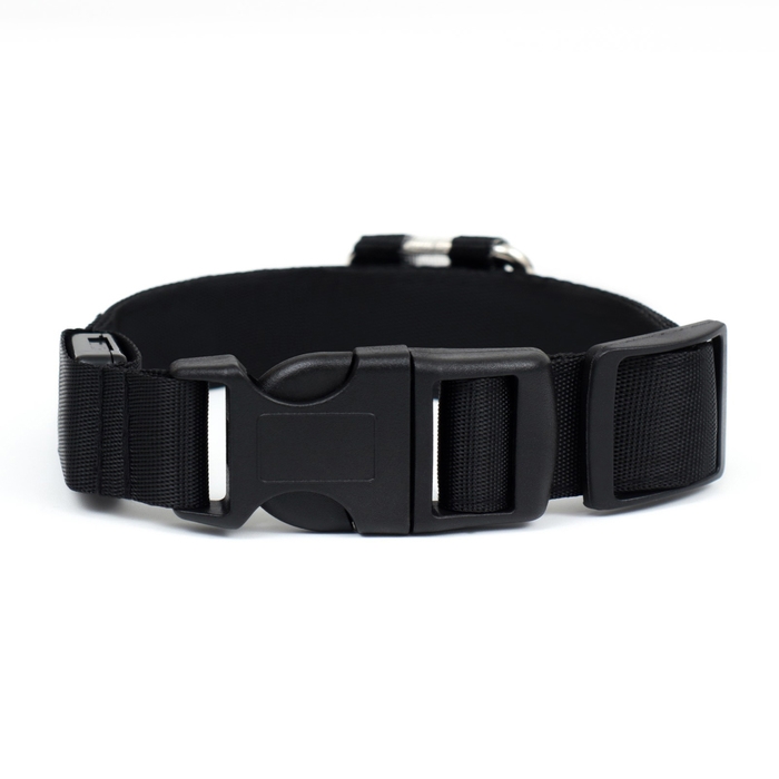 Ошейник с подсветкой Flash 3 режима свечения, размер XL, ОШ 52-60 х 2,5 см зелёный